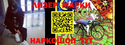 Альфа ПВП Бийск