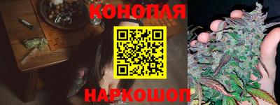 Альфа ПВП Бийск
