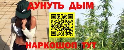 Альфа ПВП Бийск